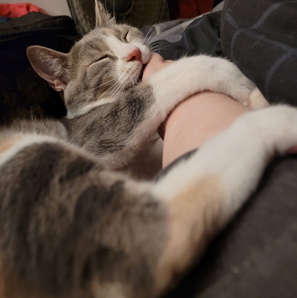 Meet your Posher, Ryan Jhunita. - Picture 2 of 4